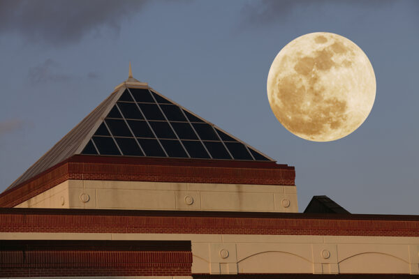 Texas Moonlight