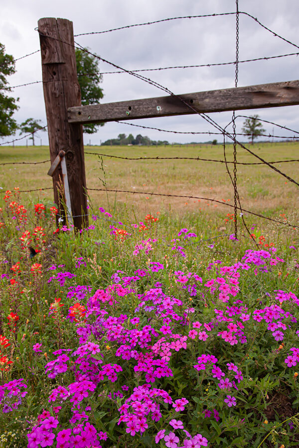 Good Fences Make Good Neighbors